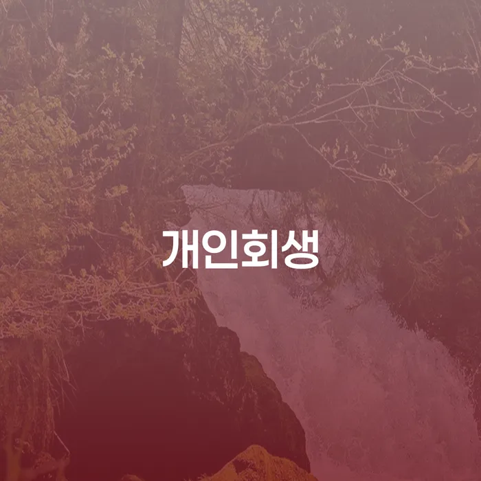 연대보증인채무 빚갚는 방법 정해지는