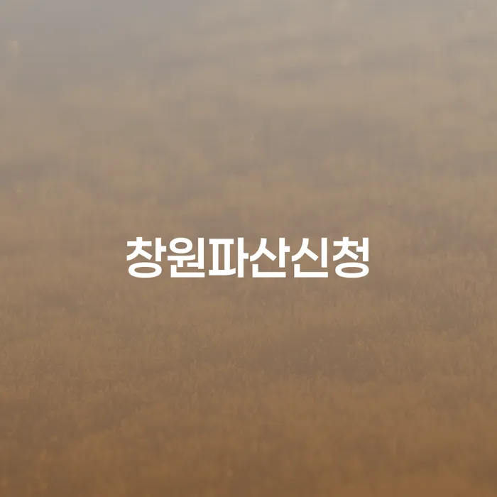 개인회생 수임료 분납 가능하고 채무 효과적인 해결방법 어떤걸