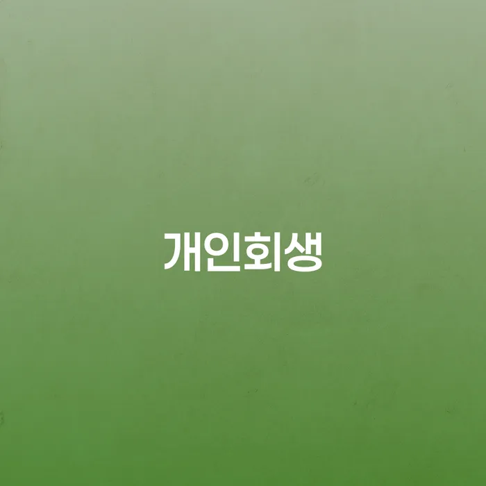 개인파산선고 개인회생,개인파산으로 잘하는 곳