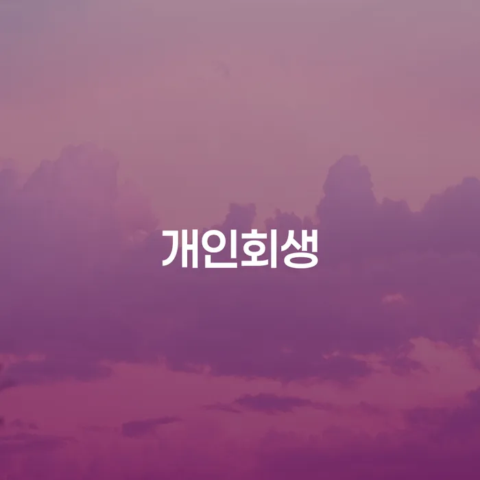 대구광역시 개인회생 채무조정제도을 이용하여 무료상담