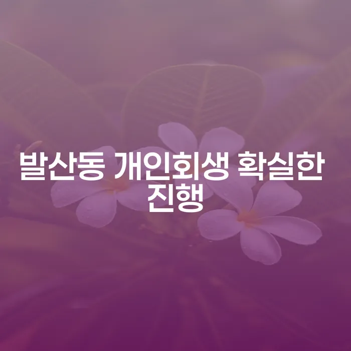 발산동 개인회생 확실한 진행