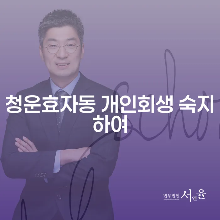 청운효자동 개인회생 숙지하여