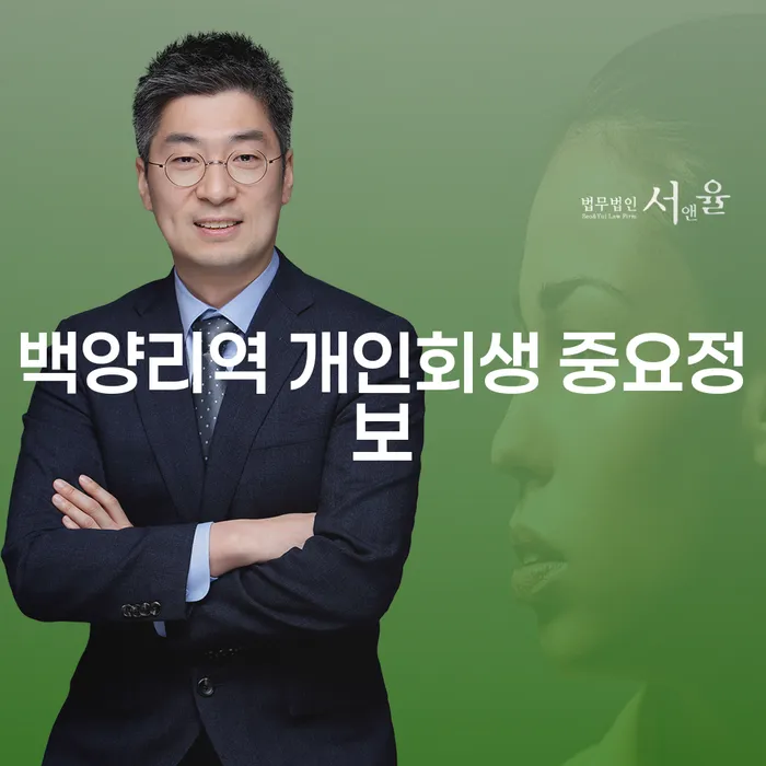 백양리역 개인회생 중요정보