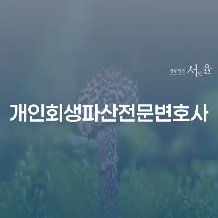 통영에서 개인회생과 파산을 고민 중인가요? 전문가의 도움을 받아보세요!