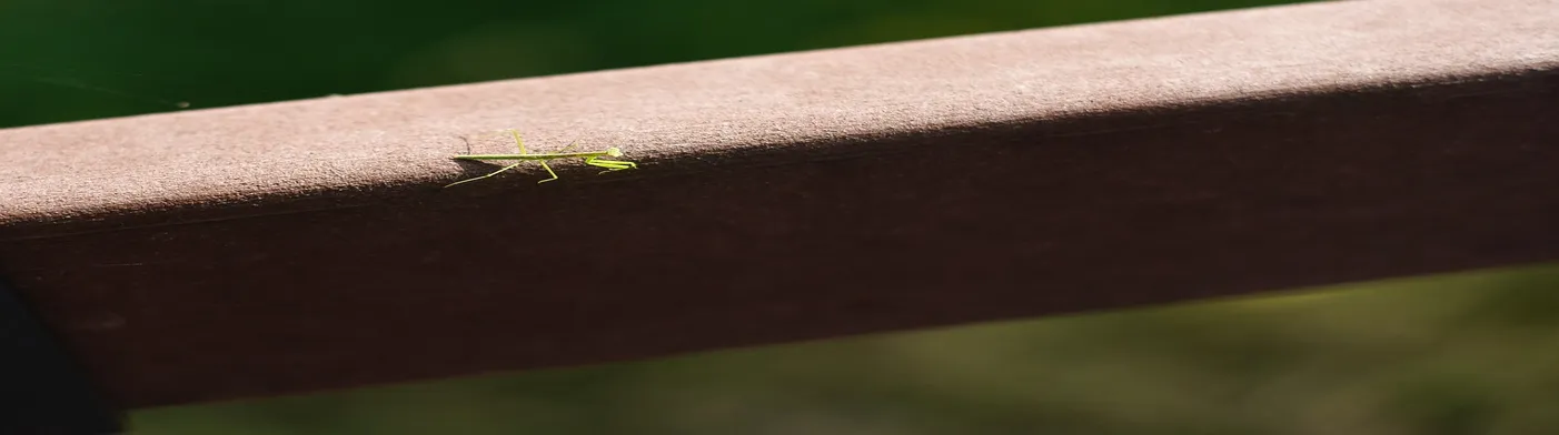 법무법인 서앤율