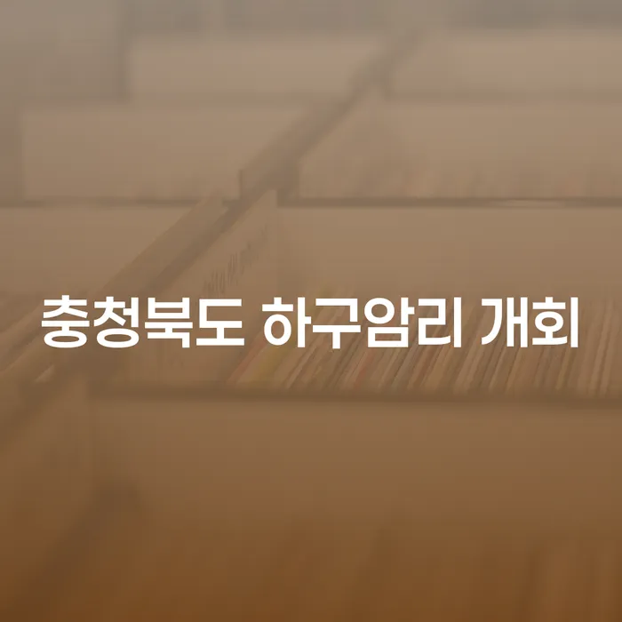 충청북도 하구암리 개회에서 알아보는 담보대출파산, 당신의 선택은?