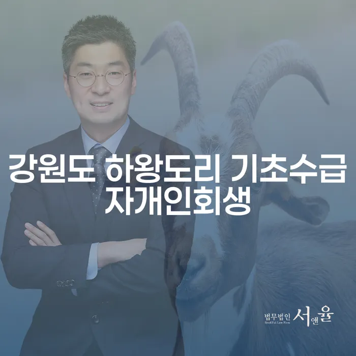 강원도 하왕도리에서 기초수급자 개인회생을 고려해야 하는 이유는 무엇일까요?