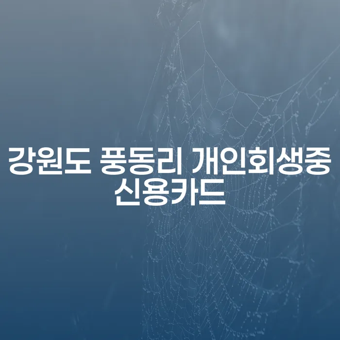 강원도 풍동리에서 개인회생 중 신용카드를 사용할 수 있을까요?